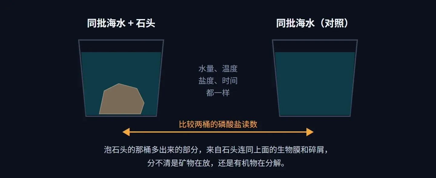 对照示意:一桶同批海水泡石头,另一桶同批海水作对照,水量、温度、盐度、时间都一样,比较两桶的磷酸盐读数