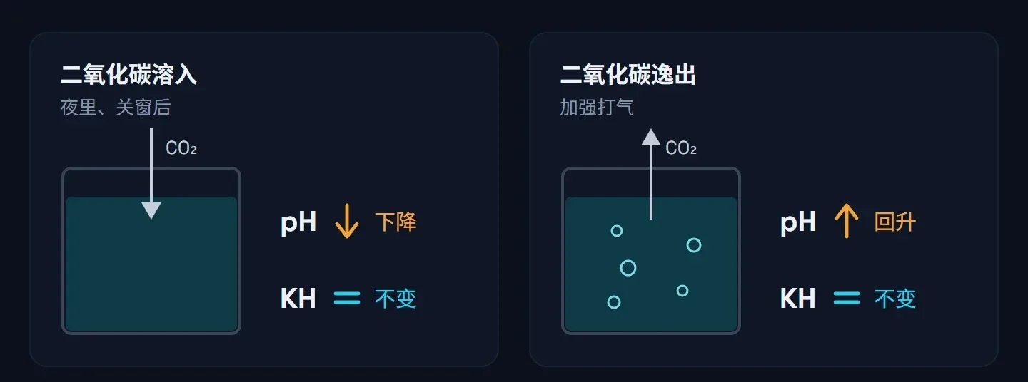 左:二氧化碳溶入水中,pH 下降,KH 不变;右:加强打气让二氧化碳逸出,pH 回升,KH 不变