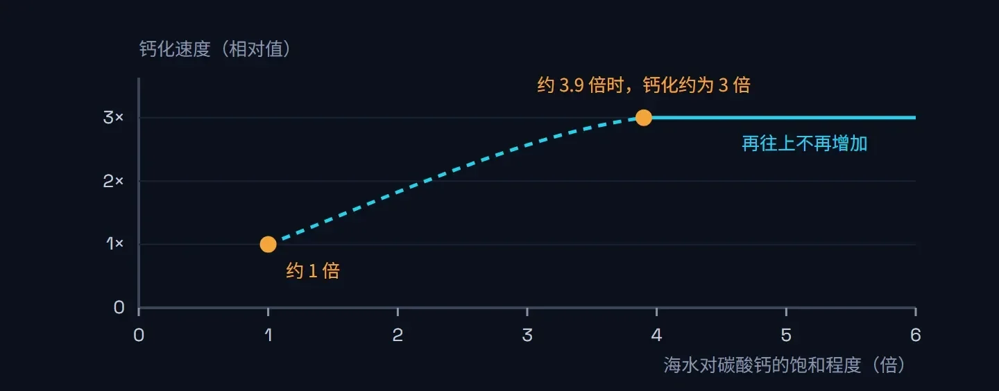 折线示意:饱和程度从约 1 倍升到约 3.9 倍,钙化速度升到约 3 倍,之后持平