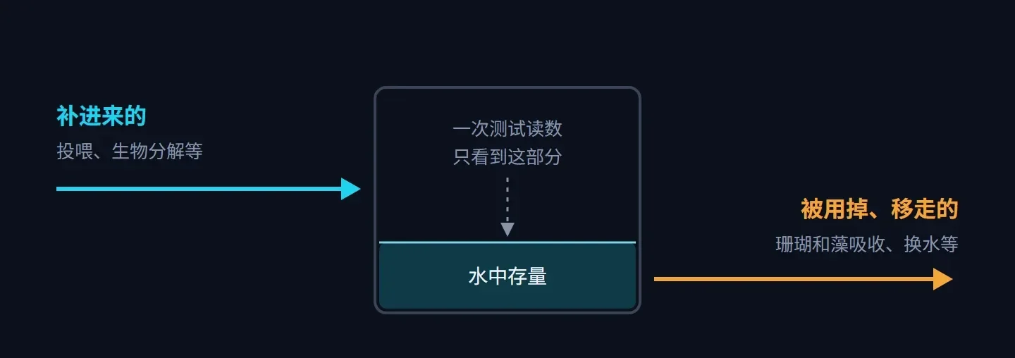 示意图:营养盐从投喂、生物分解等途径补进来,被珊瑚和藻吸收、换水等途径移走,一次测试读数只看到水中剩下的存量