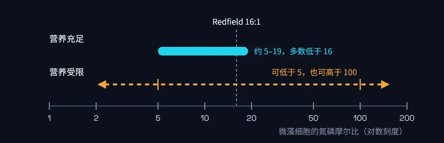 对数刻度上的范围示意:营养充足的微藻氮磷摩尔比约 5 到 19,营养受限时可低于 5 也可高于 100,虚线标出 16:1