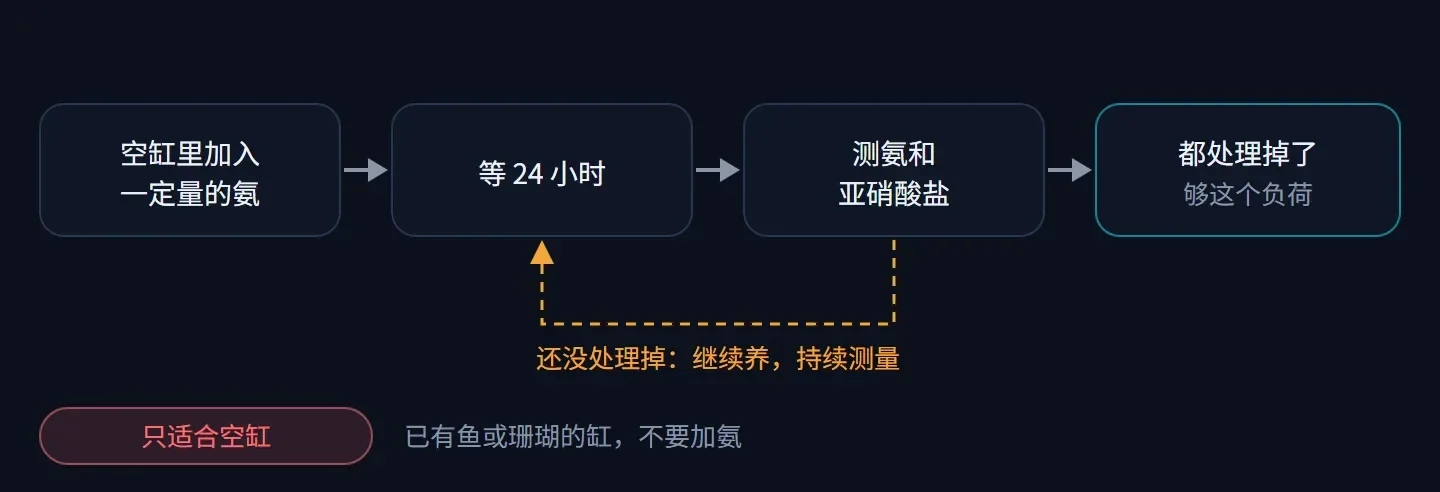 流程图:空缸里加入一定量的氨,等 24 小时,测氨和亚硝酸盐;都处理掉了说明够这个负荷,还没处理掉就继续养、持续测量;这套流程只适合空缸